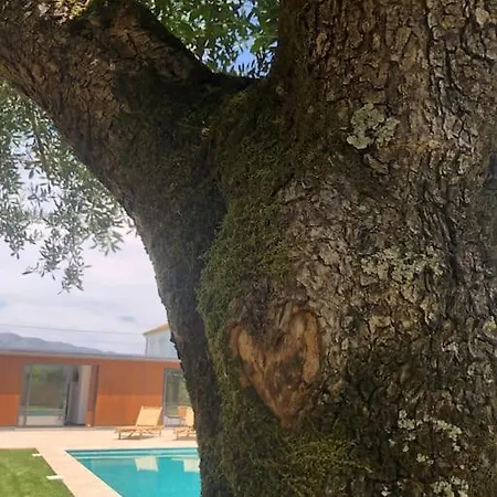 Jardim Do Olival - Casa Com Piscina