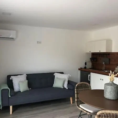 Jardim Do Olival - Casa Com Piscina Correlha